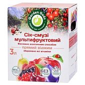 Сок-смузи Garden Gadz Мультифруктовый 3л